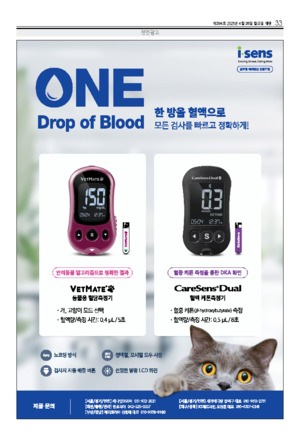 33면