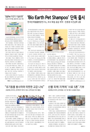 36면