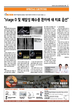 41면