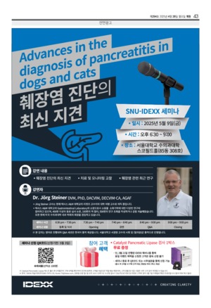 43면