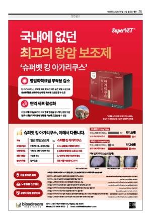 35면