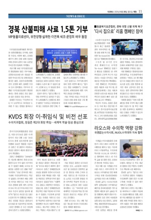 11면