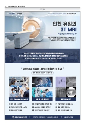 12면