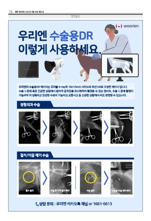 16면