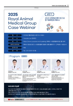 29면