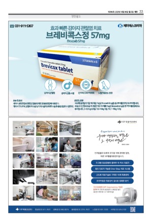 33면