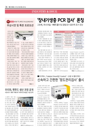 36면
