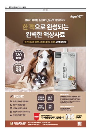 06면