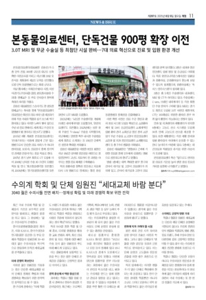 11면