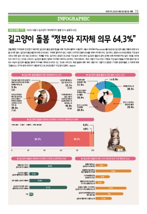 19면