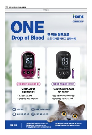 20면
