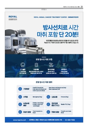 25면
