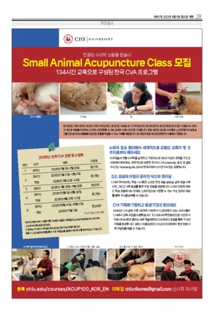 29면
