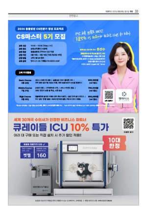 33면