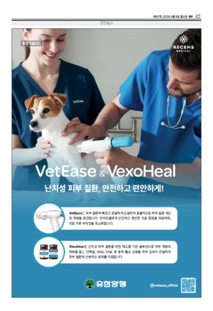 43면