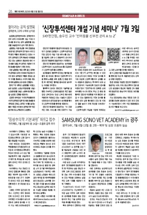 26면