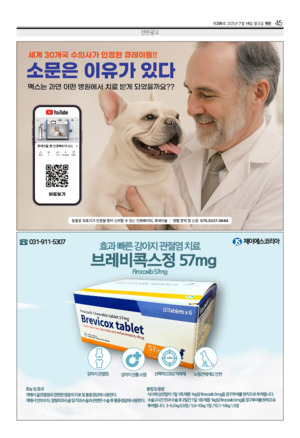 45면