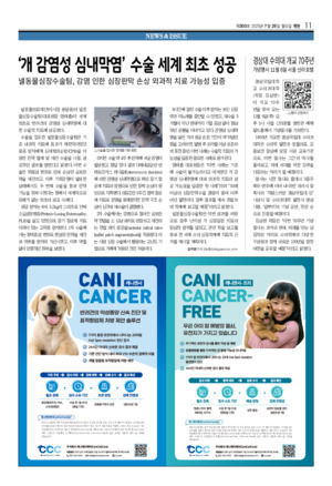 11면