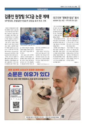 13면