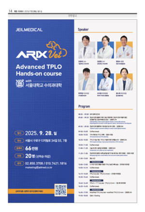 14면