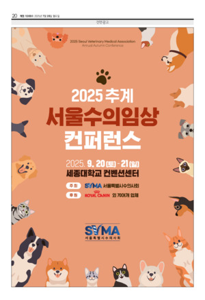 20면