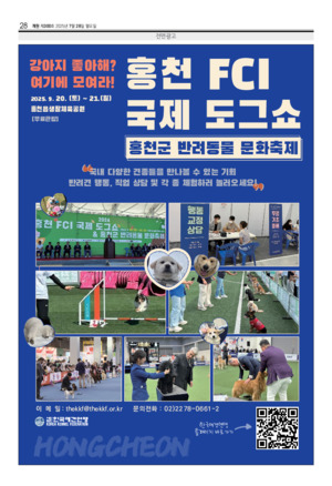28면