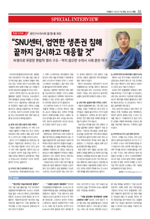 33면