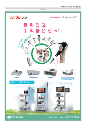 39면