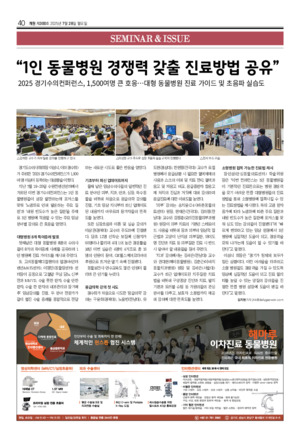 40면