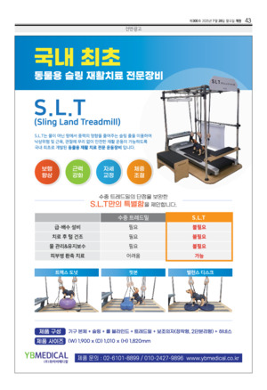 43면