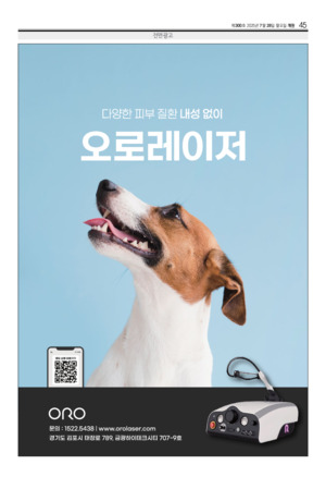 45면