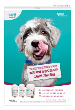 51면