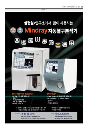 53면