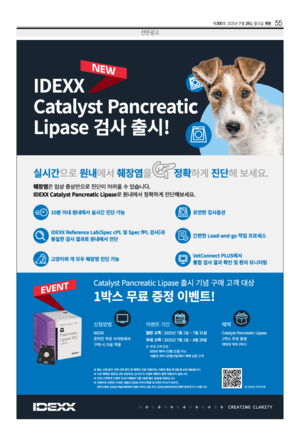 55면