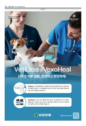 56면