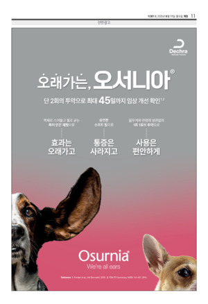 11면