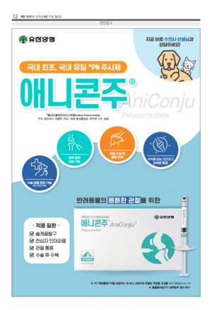 12면