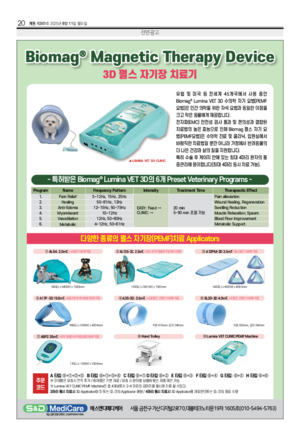 20면