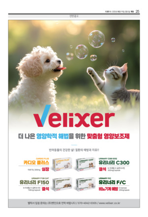 25면