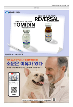 29면