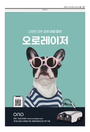 35면