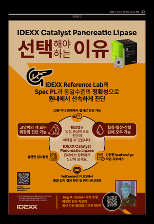 43면